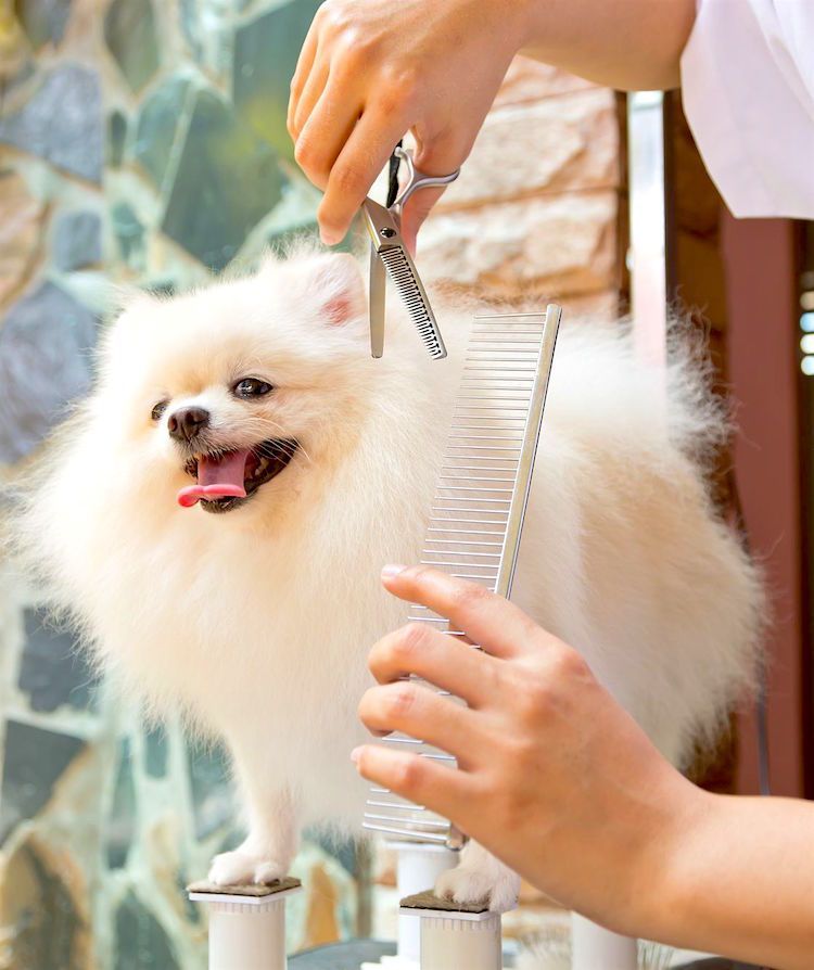 De-shedding and mat removal for pets