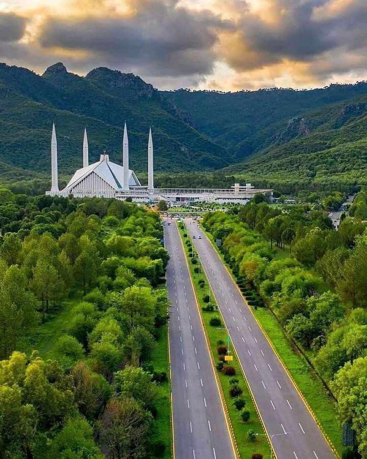 ICU care for pets serving Islamabad
